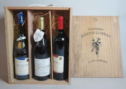 3 bouteilles Domaine MARTIN-LUNEAU propriétaire dont : 1 bouteille Muscadet sur Lie...