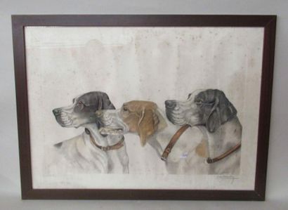null Léon DANCHIN (1887-1938) "Trois chiens" Gravures (mouillures) 