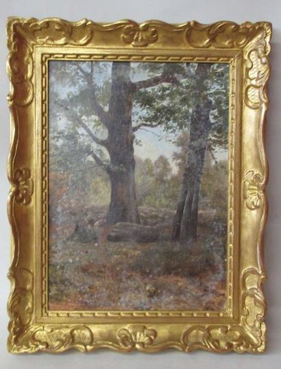 null Ecole de Barbizon Fin XIXe Début XXe siècle "Forêt de Fontainebleau" Huile sur...