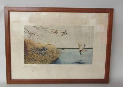 null Léon DANCHIN (1887-1938) "Chasse aux canards" gravure 