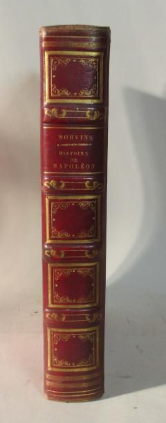 null NORVINS : Histoire de Napoléon - 1 volume 