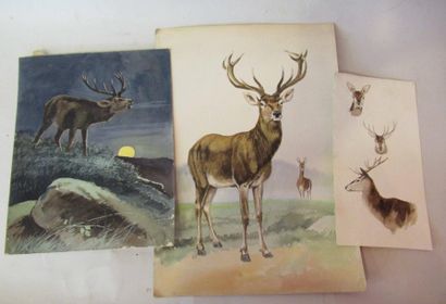 null Lot de trois aquarelles sur papier "Cerfs" 