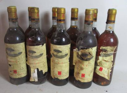 null 10 bouteilles de SAUTERNE L'Agnet La Charrière Domaine des Mallard 1981 (étiquettes...