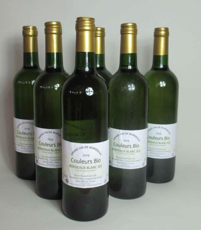 null 6 bouteilles de BORDEAUX Couleurs Bio BLANC SEC 2009 (en carton d'origine) 