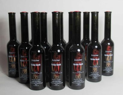 null 12 demi-bouteilles ICEWINE Colio Estate Vineyards Cépage Vidal Canada vin blanc...