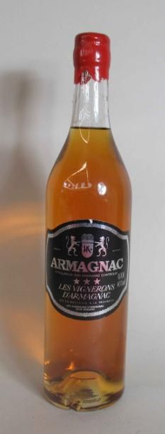 null 1 bouteille d'ARMAGNAC Les Vignerons d'Armagnac 