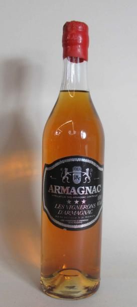 null 1 bouteille d'ARMAGNAC Les Vignerons d'Armagnac 