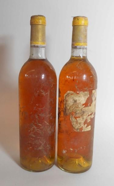 null 2 bouteilles de CHATEAU D'YQUEM 1979 (une étiquette abimée et une étiquette...