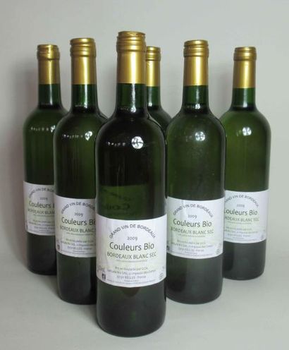 null 6 bouteilles de BORDEAUX Couleurs Bio BLANC SEC 2009 (en carton d'origine) 