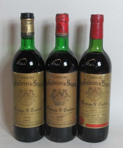 null 3 bouteilles de CHATEAU LES TUILERIES DE BAYARD Montagne Saint Emilion Domaine...