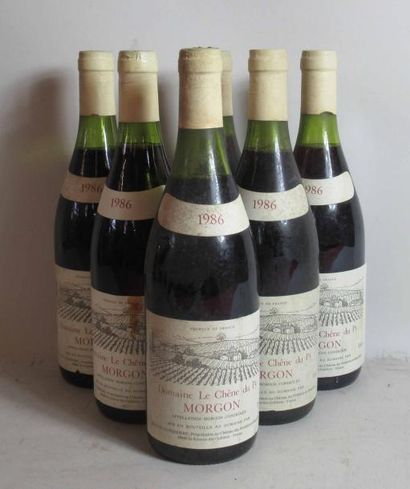 null 6 bouteilles de MORGON Beaujolais Domaine Le Chêne du Py 1986 