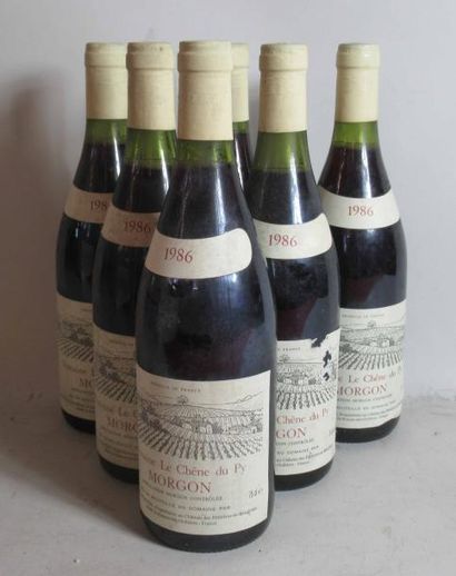 null 6 bouteilles de MORGON Beaujolais Domaine Le Chêne du Py 1986 