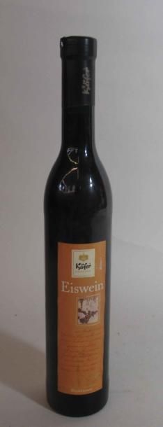 null 1 bouteille de EISWEIN Käfer München 1999 