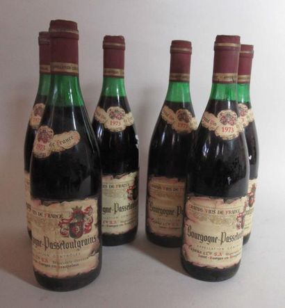null Six bouteilles de BOURGOGNE PASSETOUTGRAINS domaine Aujoux et cie 1973 