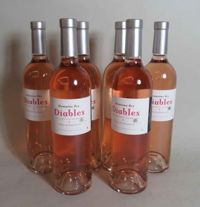 null 6 bouteilles de Domaine des DIABLES Côtes de provence rosé 2016 