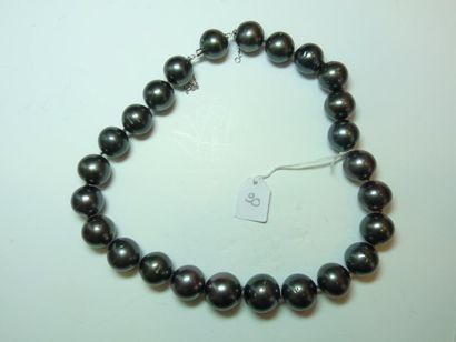 null Collier de 25 perles de Tahiti grises en légère chute, (diamètre 15 à 17,5 mm)...