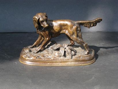 null Jules MOIGNEZ (1835-1894) "Chien Setter débusquant un lapin" Epreuve en bronze...