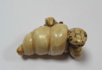 null Netsuke en ivoire sculpté d'un serpent sortant d'un coquillage tronconique et...