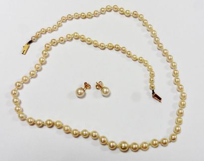 null Parure de perles de culture comprenant un collier avec perles en choker et fermoir...