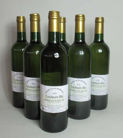 null 6 bouteilles de BORDEAUX Couleurs Bio BLANC SEC 2009 (en carton d'origine) Expert...