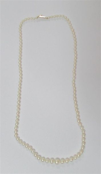 null Collier de perles de culture avec fermoir en or jaune 18 K (750/oo)