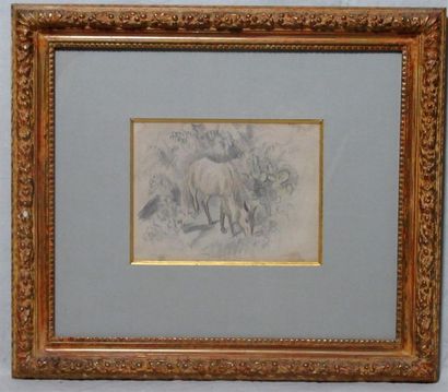 null PASCIN (JULES PINCAS) DIT (1885-1930) "Cheval" Dessin aux trois crayons signé...