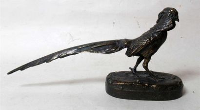 null GERMAIN DEMAY (1819-1886) "Coq faisan chinois" Bronze à patine brun mordoré...