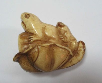 null Netsuke en ivoire bien patiné sculpté d'une grenouille et de son petit sur une...