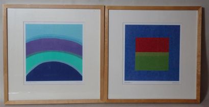 null AMAIVA (XXe) "Windows" et "Cobalt Skier" Deux lithographies en couleur signées...