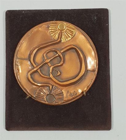 null PAGES - MONNAIE DE PARIS - Médaille commémorative en bronze patiné bicolore,...