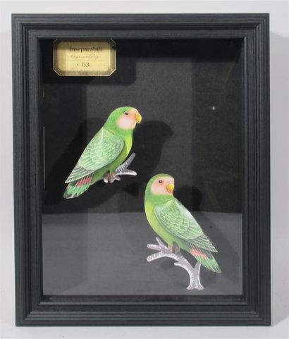 null Diorama figurant deux perroquets inséparables en papier plié polychrome en 3D...