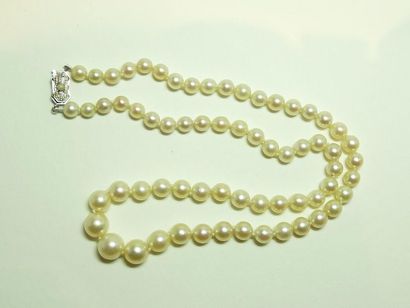 null Collier de perles de culture en chute, le fermoir en or gris 18K (750/oo) serti...