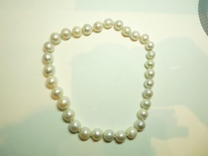 null Collier de perles des mers du sud, diamètre 11,5 à 16 mm, le fermoir en or jaune...
