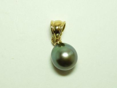 null Pendentif orné d'une perle de Tahiti grise (diam. 14 mm) la bélière en or jaune...