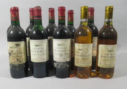 null 9 bouteilles de Chateau PEYBRUN rouge, 1ières côtes de Bordeaux ( 5-1995, 3-1994,...