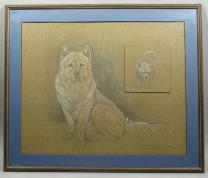 null HAWKINS (XXe) "Portrait de deux chiens" Dessin à la mine de plomb sur papier...