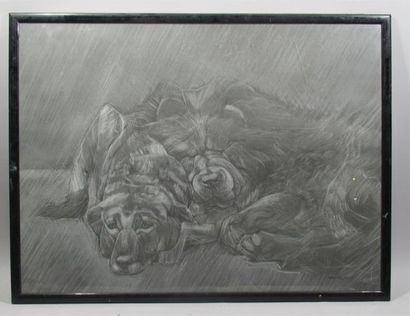 null HAWKINS (XXe) "Deux chiens couchés" Dessin à la mine de plomb et crayon blanc...