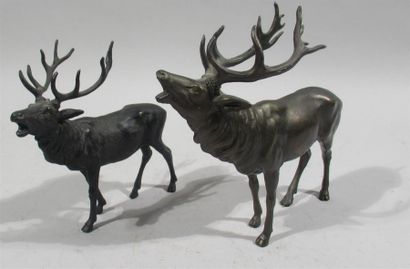 null Anonyme "Cerfs bramants" Deux sujets en bronze et composition à patine brune...