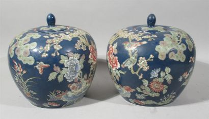 null Paire de potiches couvertes de forme boule en porcelaine à décor de fleurs aquatiques,...