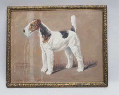 null Ecole anglaise du XXe siècle "Fox Terrier Champion Liarry Bunkum" Huile sur...