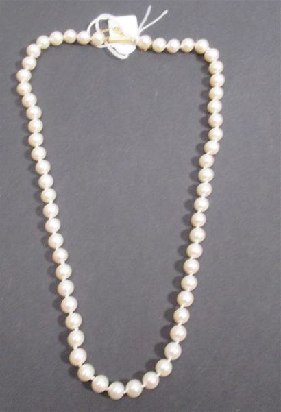 null Collier de perles d'eau douce avec fermoir en or jaune 18 K (750/oo) avec chaîne...