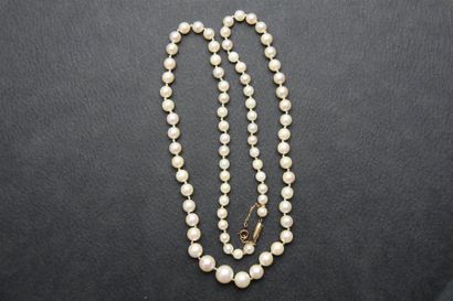 null Collier de perles de culture en chute, fermoir or 18K (750/oo).