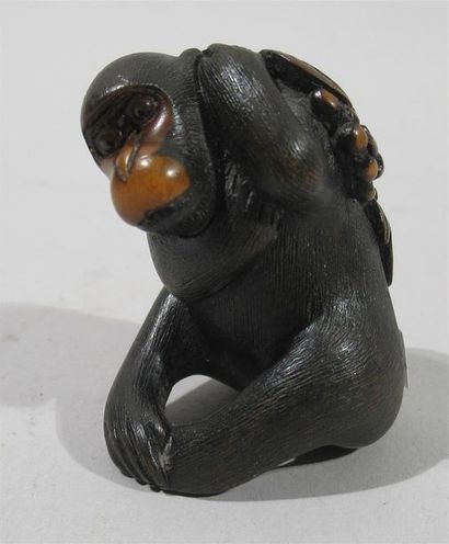 null Superbe netsuke en buis d'un singe assis tenant une grappe de raisins dans le...