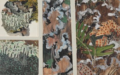  Mathurin MEHEUT (1882-1958), «Etude de fond marin», Suite de quatre aquarelles dans... Gazette Drouot