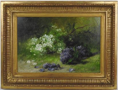 null Albert Tibule FURCY DE LAVAULT (1847-1915): Lilacs. Oil on panel. Signed lower...