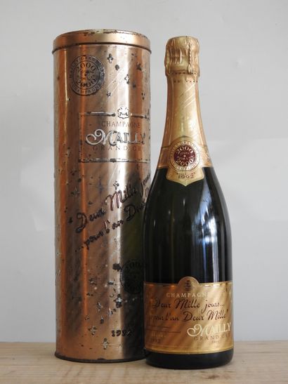 null 1 bouteille

Champagne grand cru Mailly, 2000 jours pour l'an deux millle- 1992

Dans...