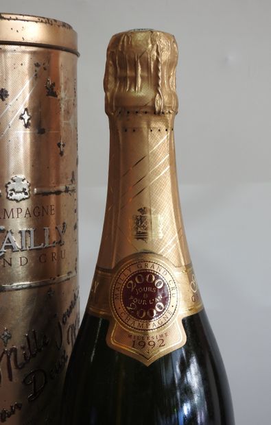 null 1 bouteille

Champagne grand cru Mailly, 2000 jours pour l'an deux millle- 1992

Dans...