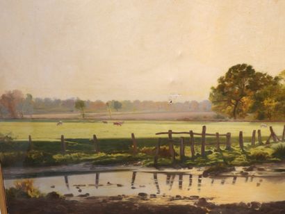 null Alfred GARCEMENT (1842-1927): Cows in a field near a pond. Oil on canvas. Signed...