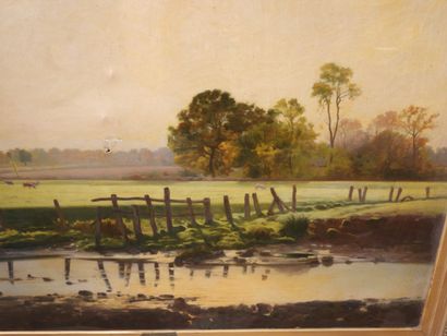 null Alfred GARCEMENT (1842-1927): Vaches dans un champ près d'une mare. Huile sur...
