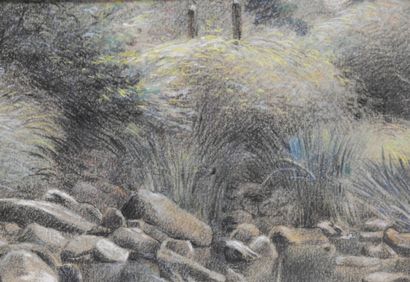 null Emile Désiré DAIMEE (1867-1956):

L'étang. 

Pastel, signé en bas à droite.

36.5...
